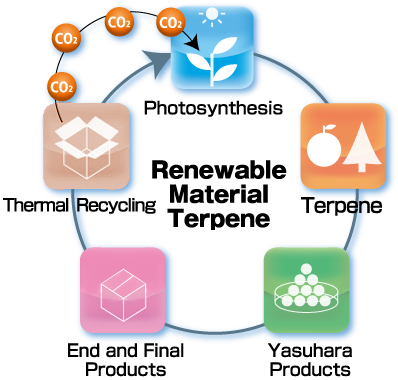 Renewable Material Terpene
