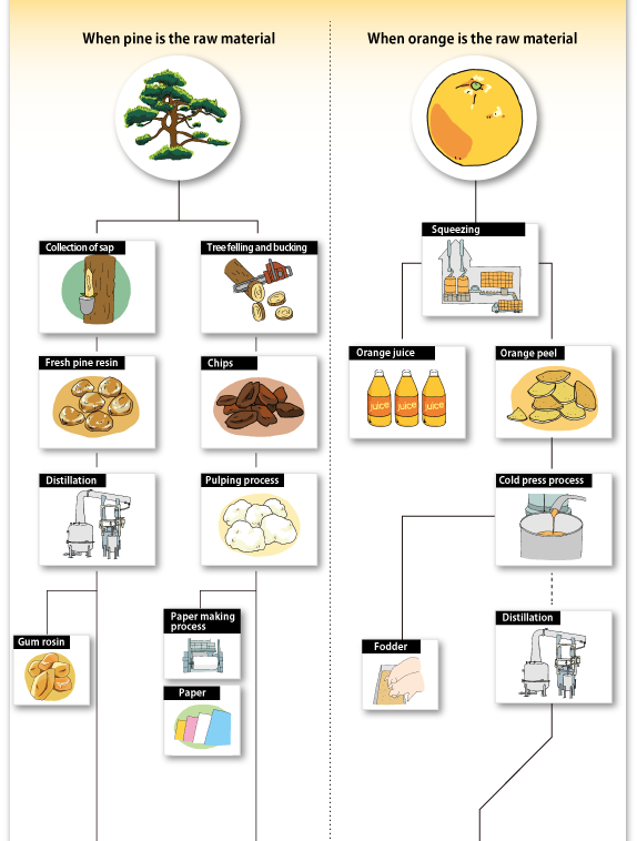 When pine is the raw material / When orange is the raw material
