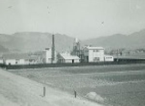 沿革のイメージ画像