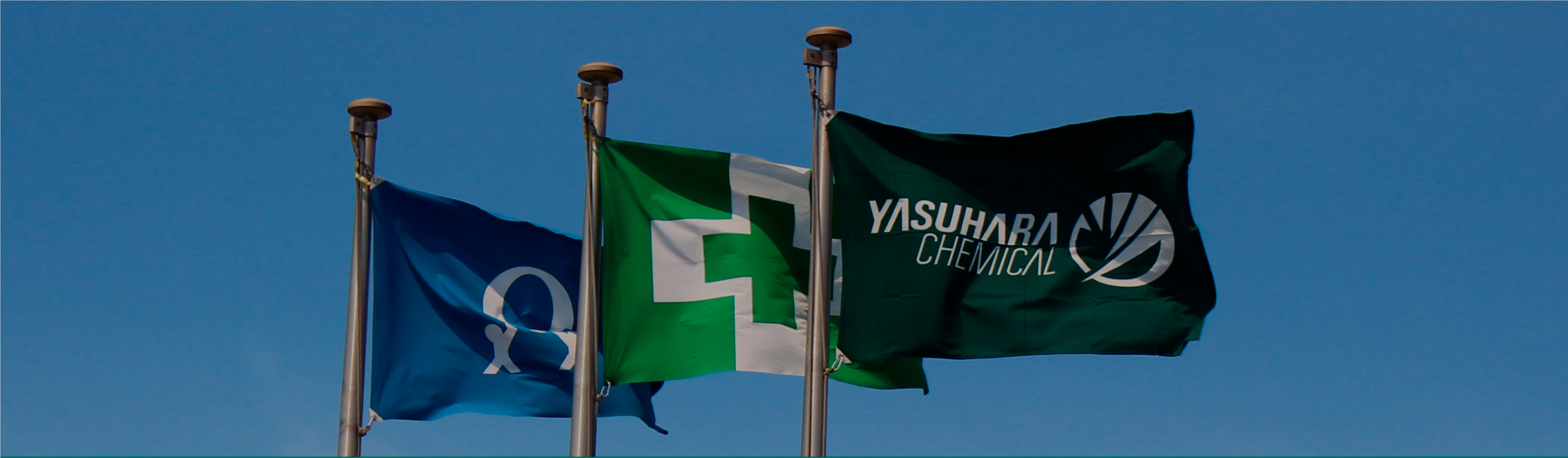 当社の強みキービジュアル