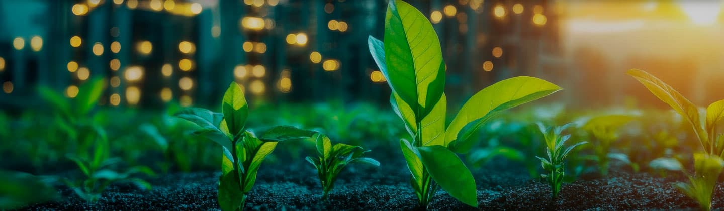 xxキービジュアル