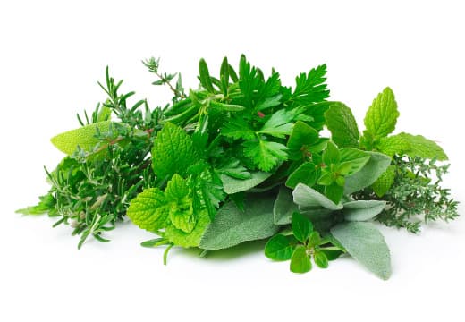 植物精油・ロジンバッグ