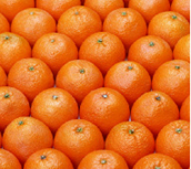 大量のオレンジ