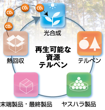 図：再生可能な資源テルペン