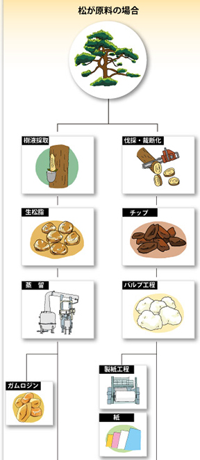 松が原料の場合