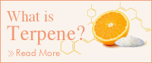 What is Terpene