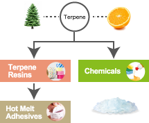 Environmentally-friendly and high-quality hot melt adhesives