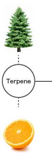 Terpene