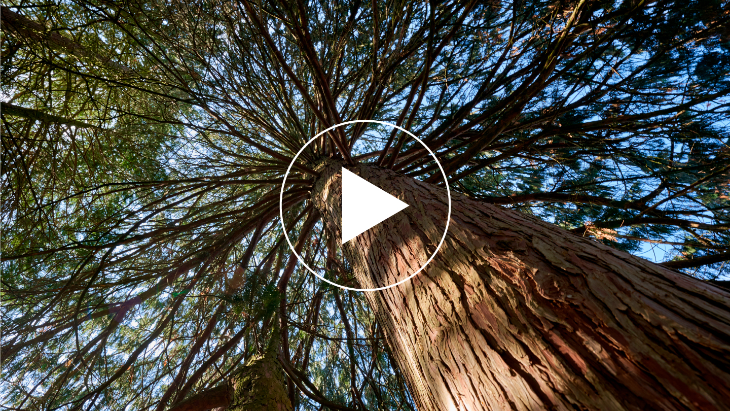 自然と暮らしを科学でつなぐ