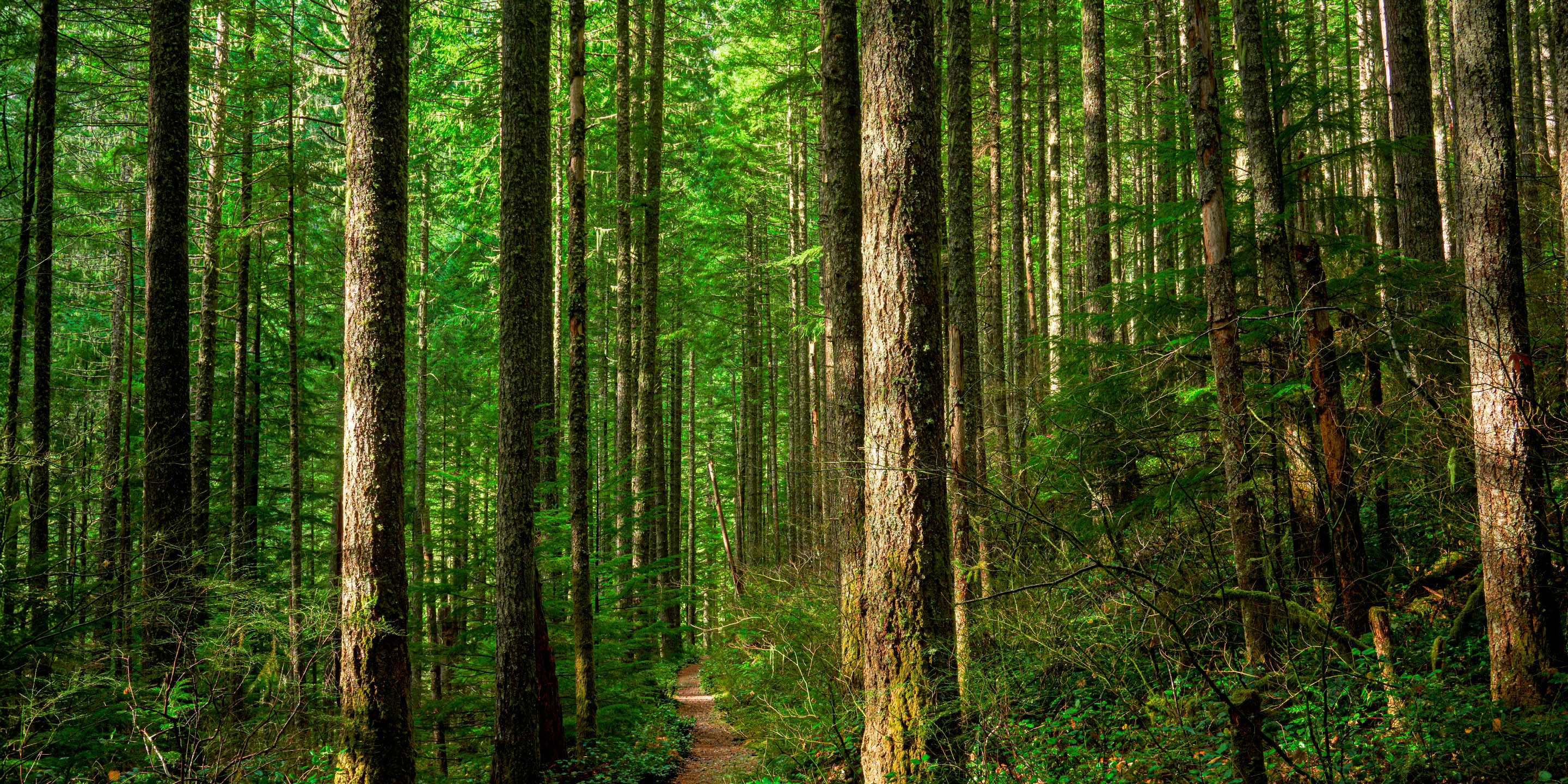 自然と暮らしを科学でつなぐ