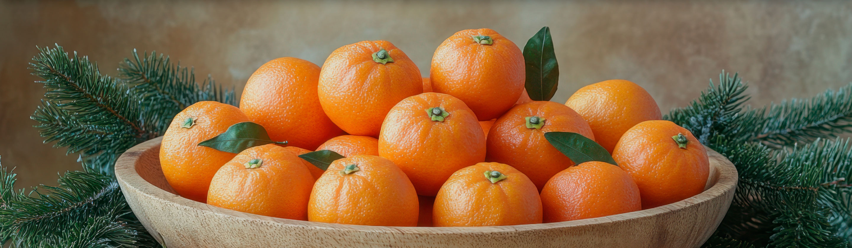 テルペンキービジュアル