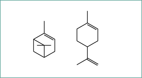 モノテルペノイド（炭素数１０：イソプレン２unit）