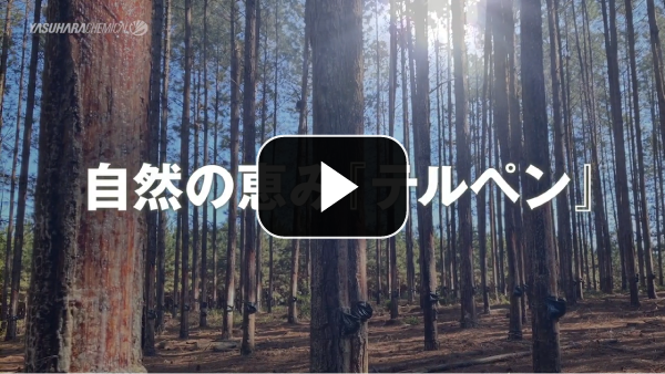【ヤスハラケミカル】会社紹介動画